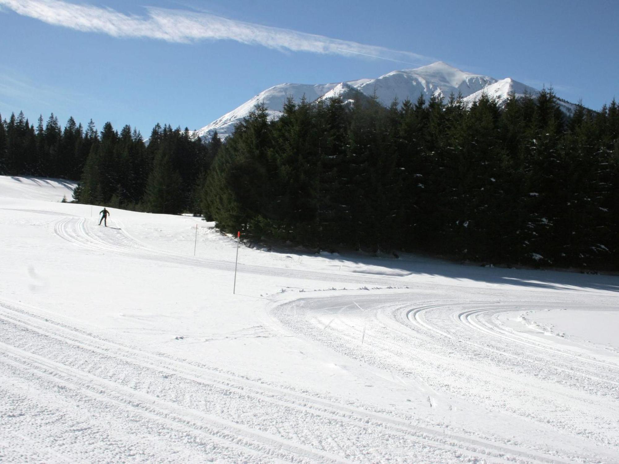 Chalet In Hohentauern Near Ski Area With Sauna Dış mekan fotoğraf
